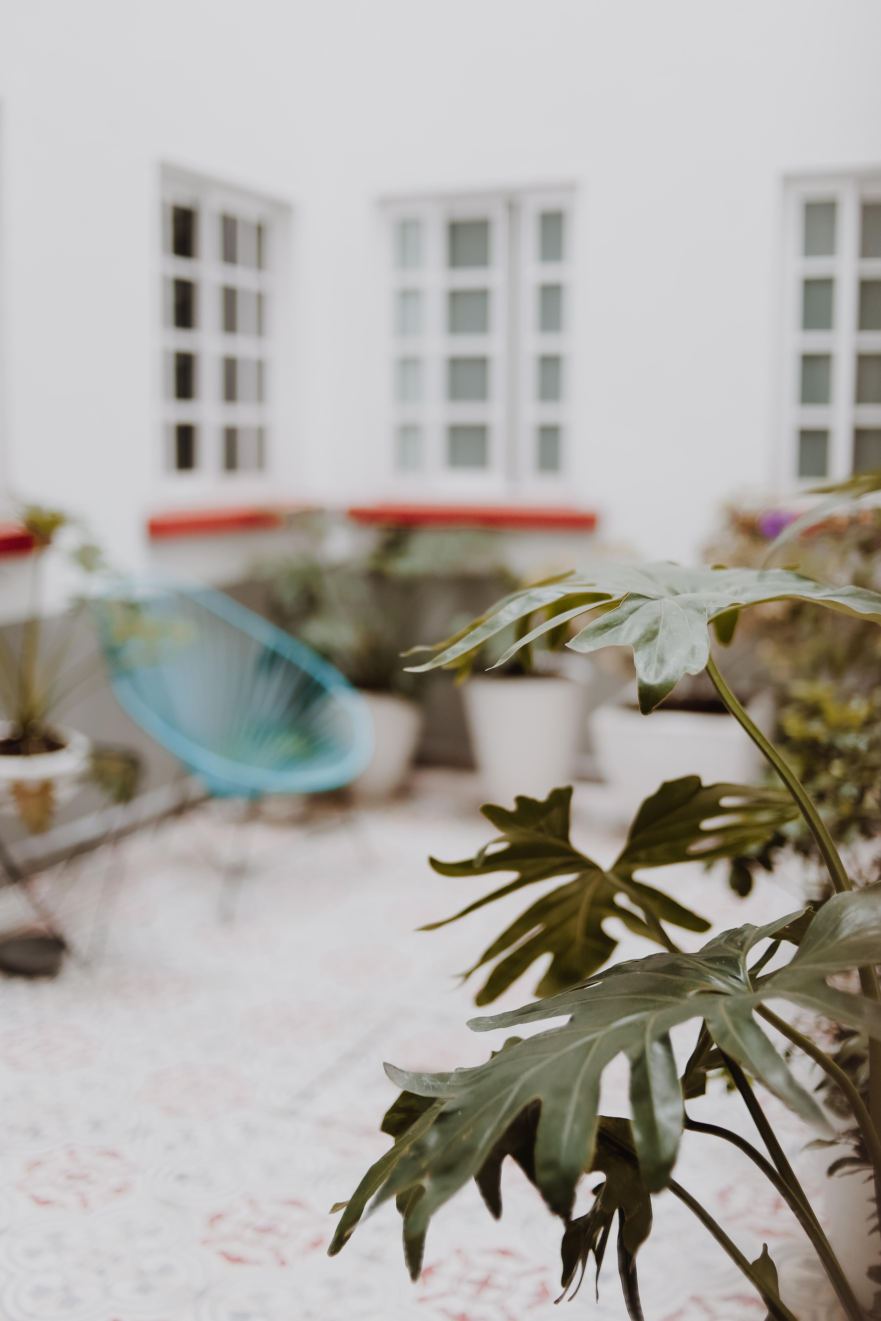 Hotel OM 686 Urban Lofts