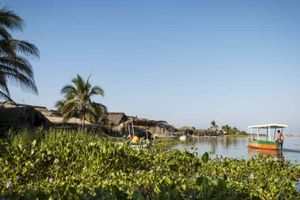 Actividad - Tour a Laguna de Coyuca con Alimentos