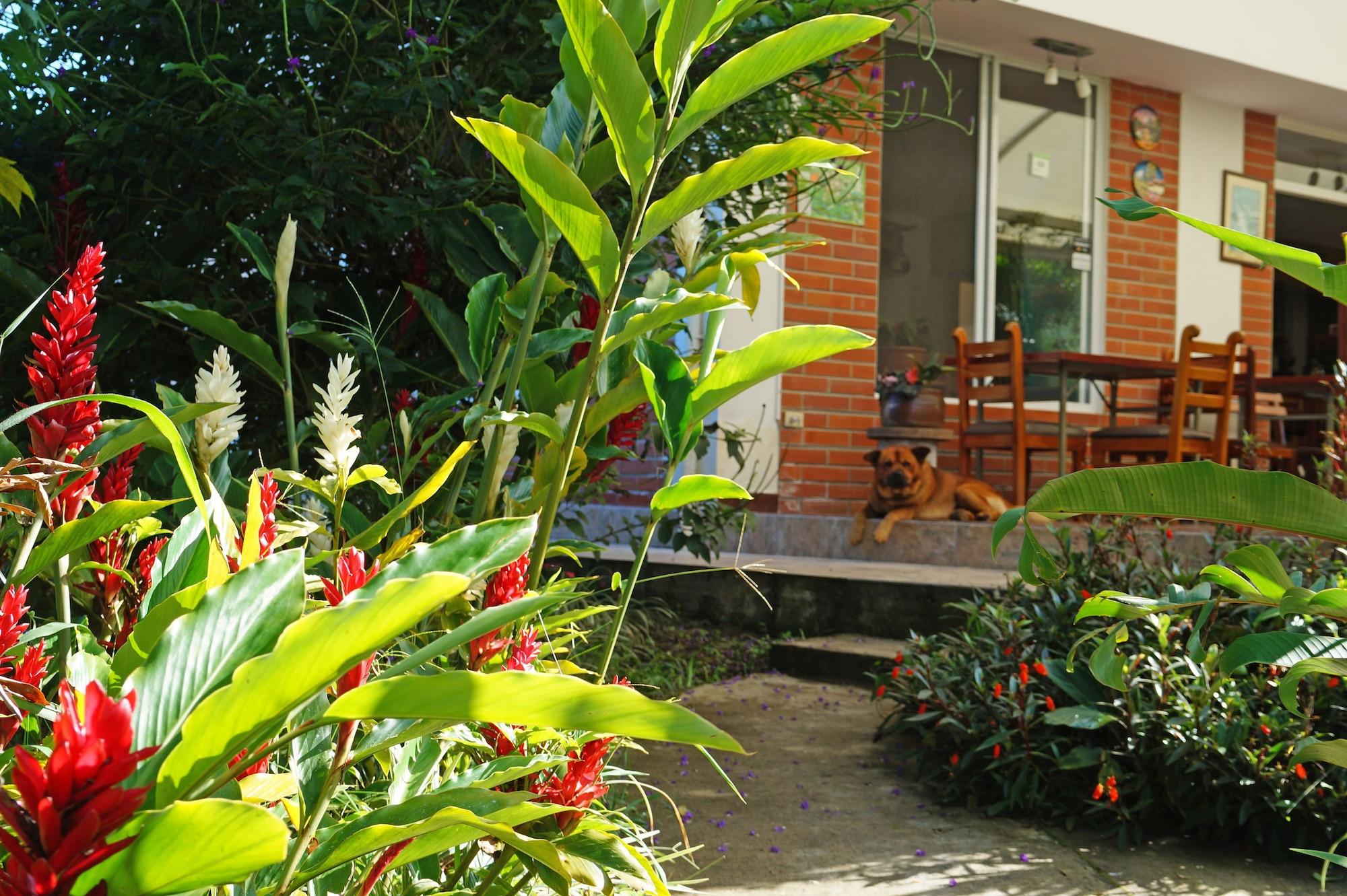 Vista Lobby Mindo Real