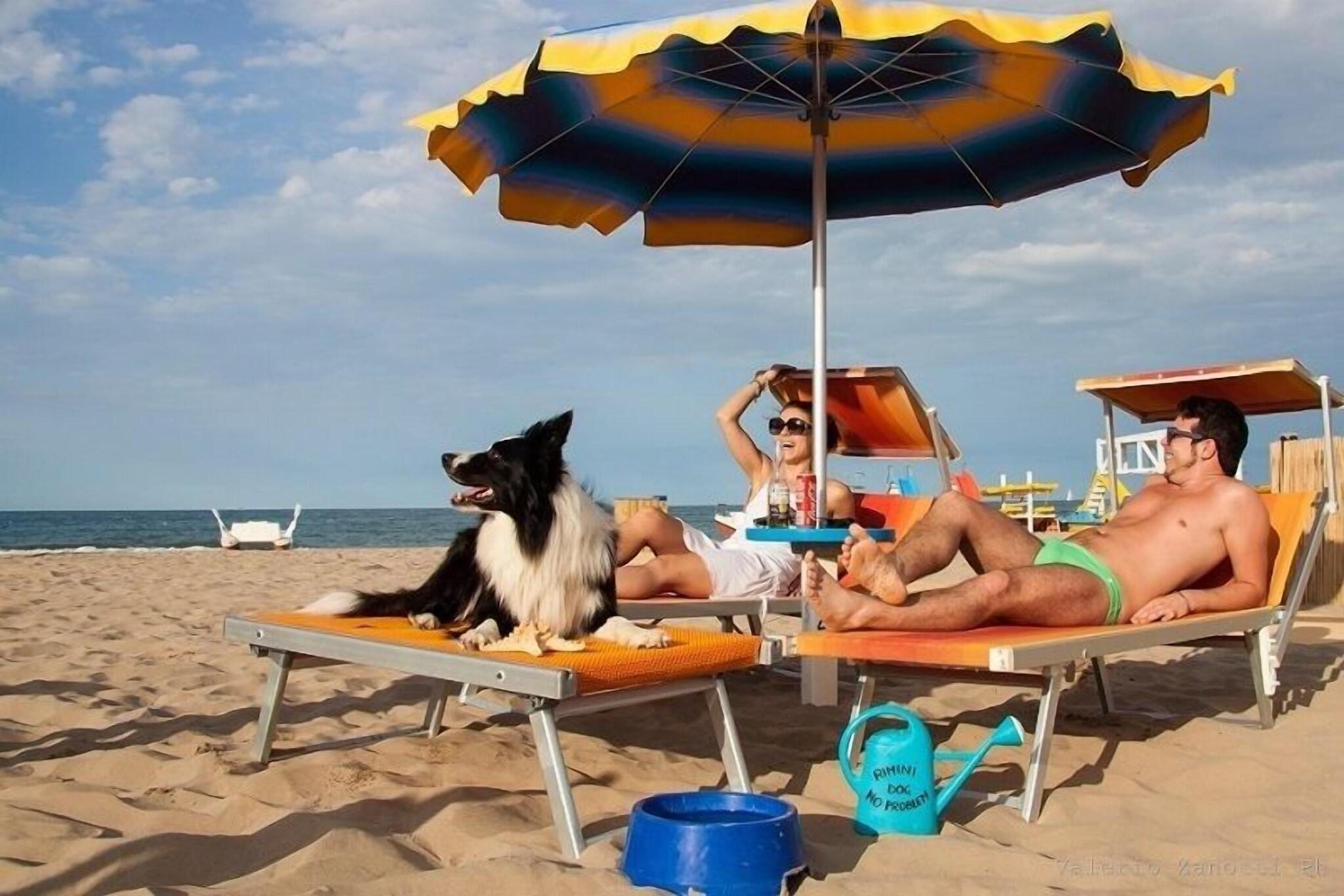 Playa Hotel Sovrana & Re Aqva SPA