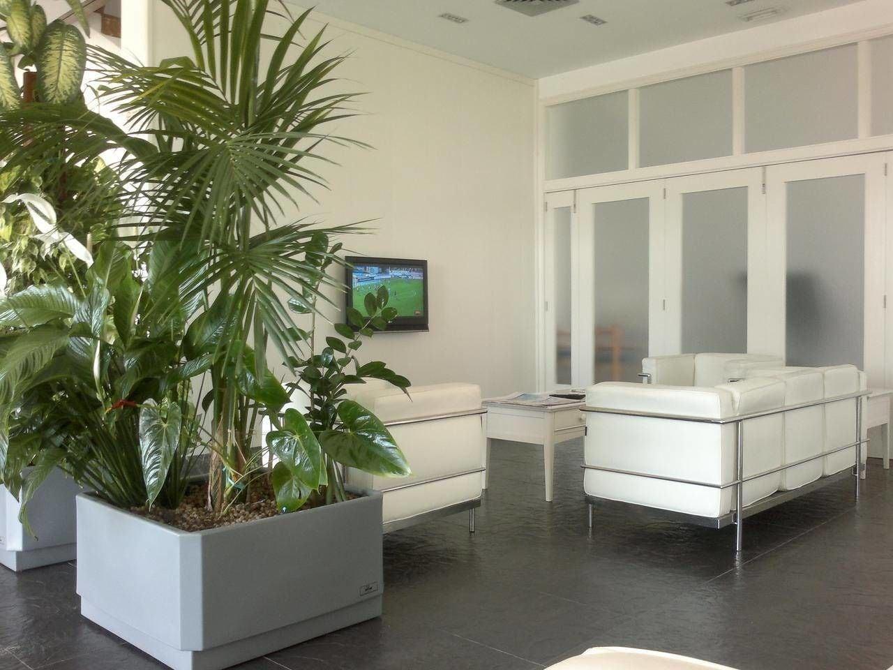 Vista Lobby Hotel Roca