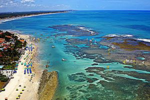 Pacote - Pacotes para Porto de Galinhas
