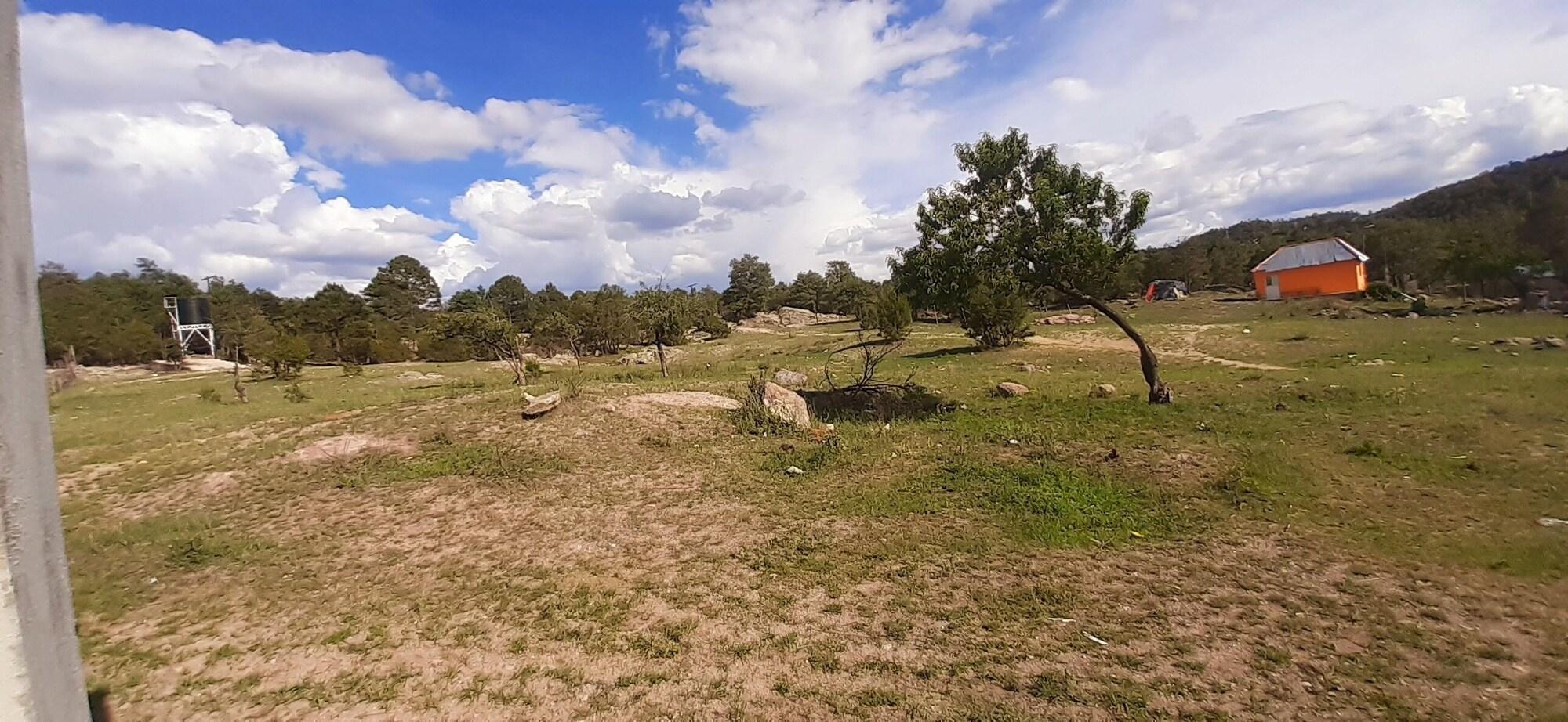 Vista Exterior Cabañas Amanda
