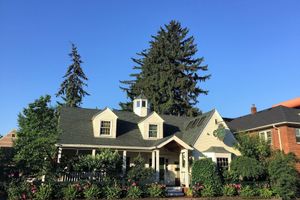 Alojamiento - Wild Goose Inn