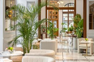 Alojamiento - THE DOLLI at Acropolis, A Hotel to Live