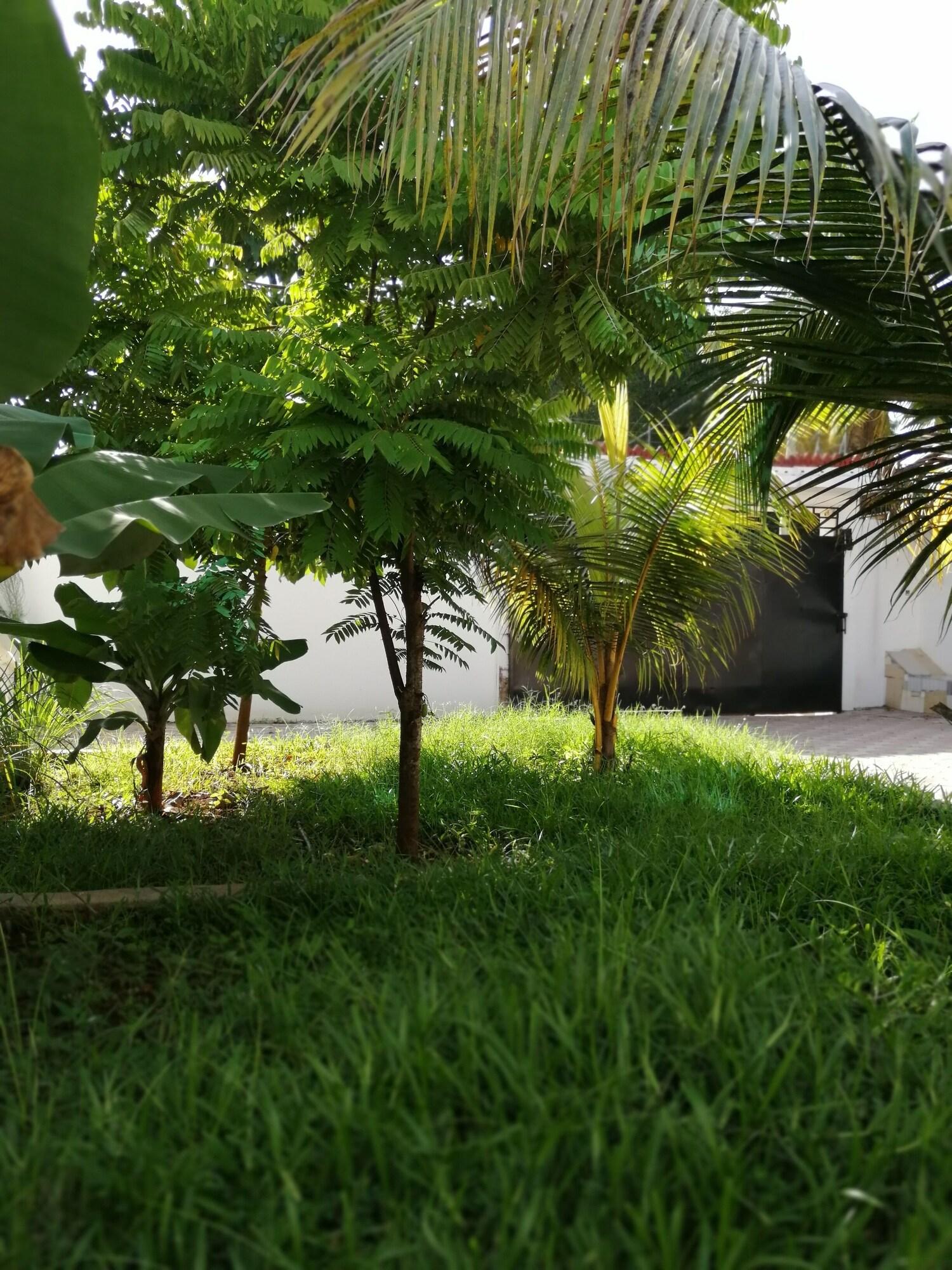 Comodidades del Alojamiento Salhiya Lodge - Hostel