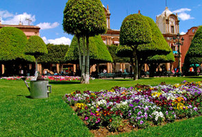León