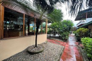 Alojamiento - Ama Garden Sauraha