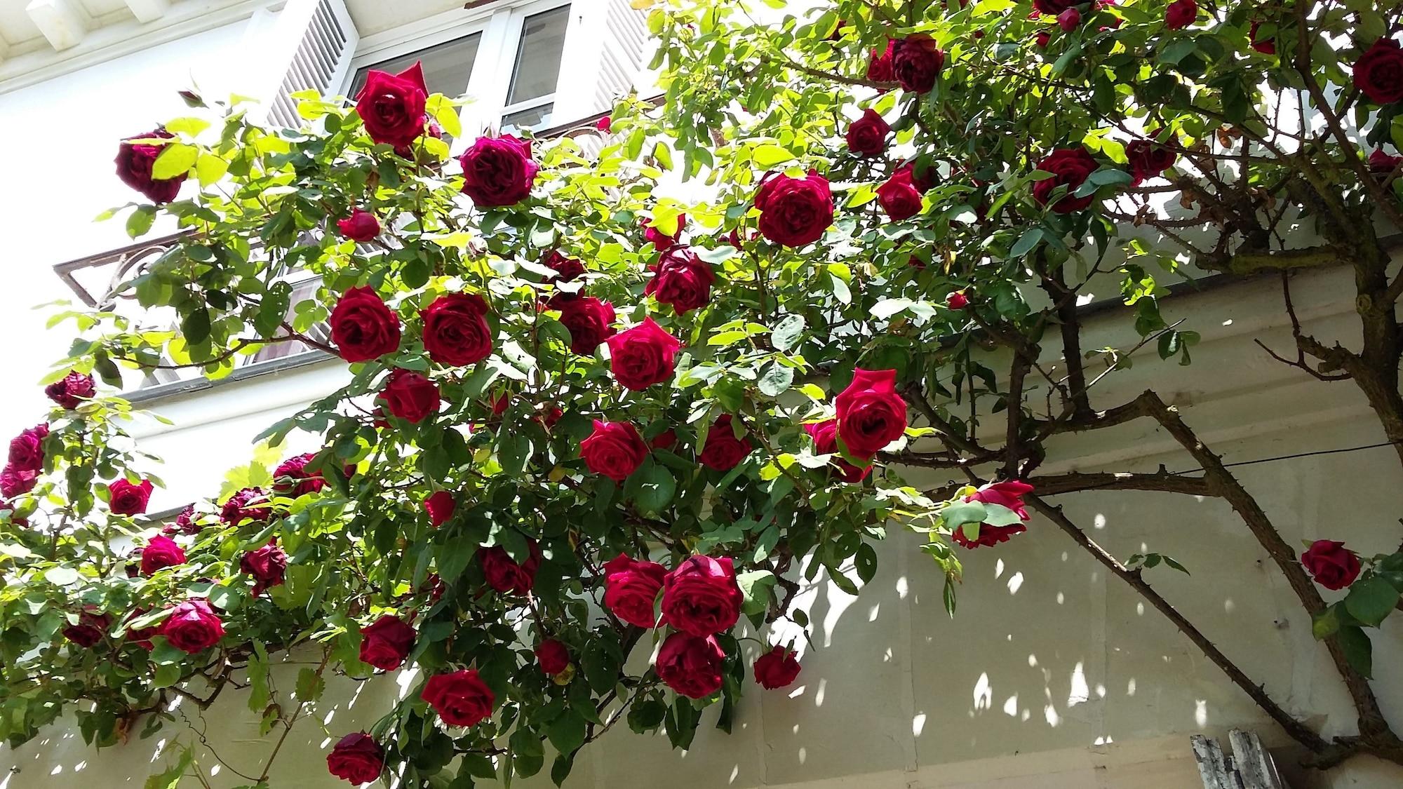 Vista Exterior B&B La Héraudière