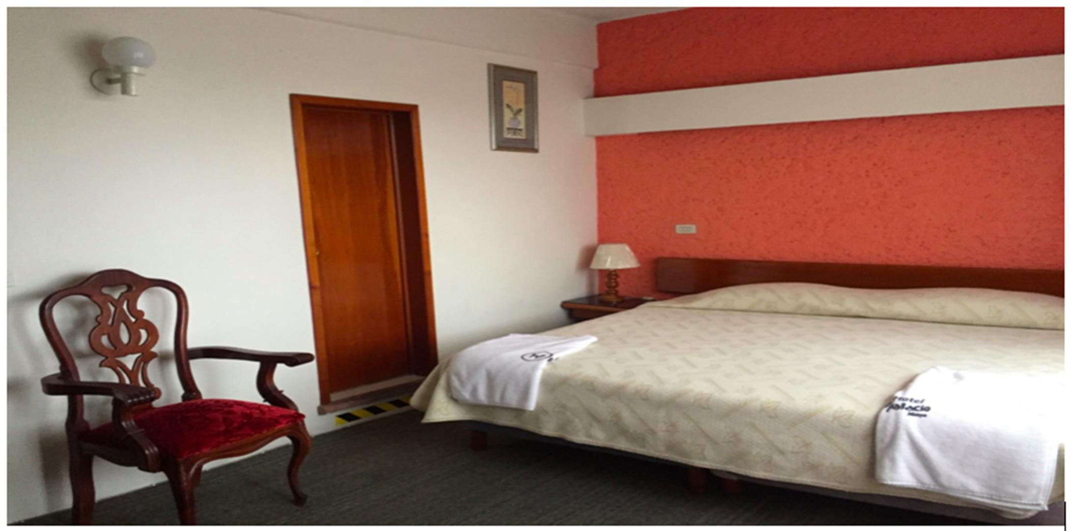 Habitación Hotel Palacio