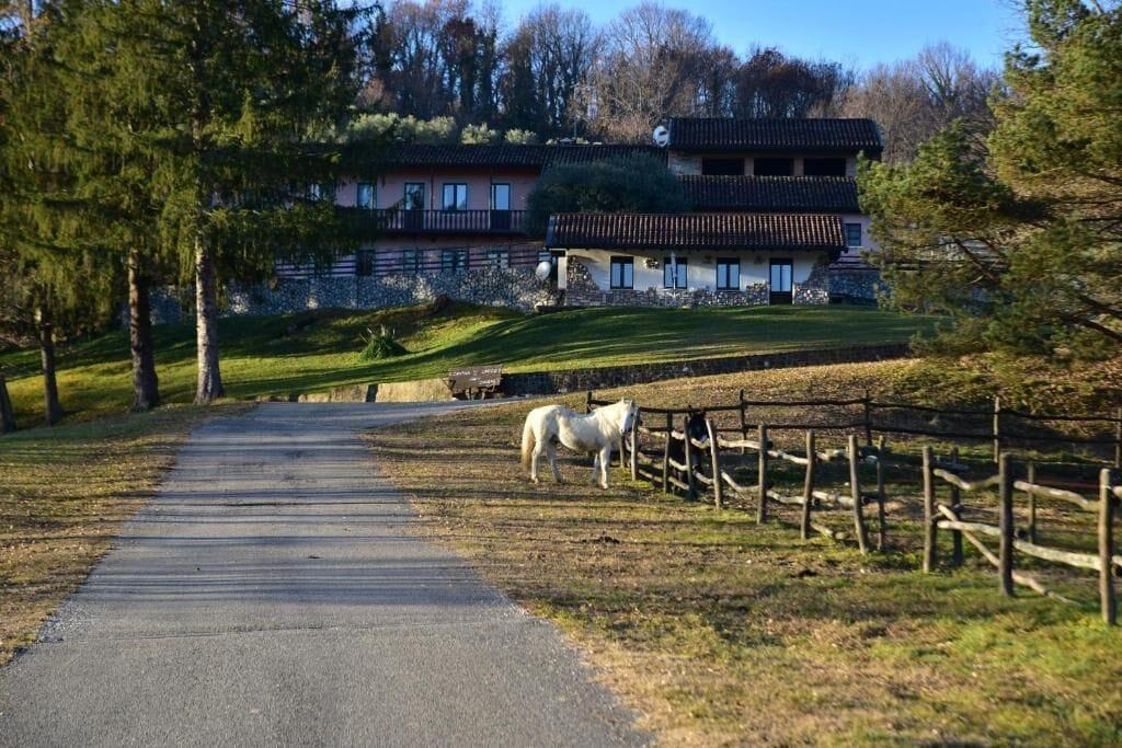 Varios Tenuta Valdomini