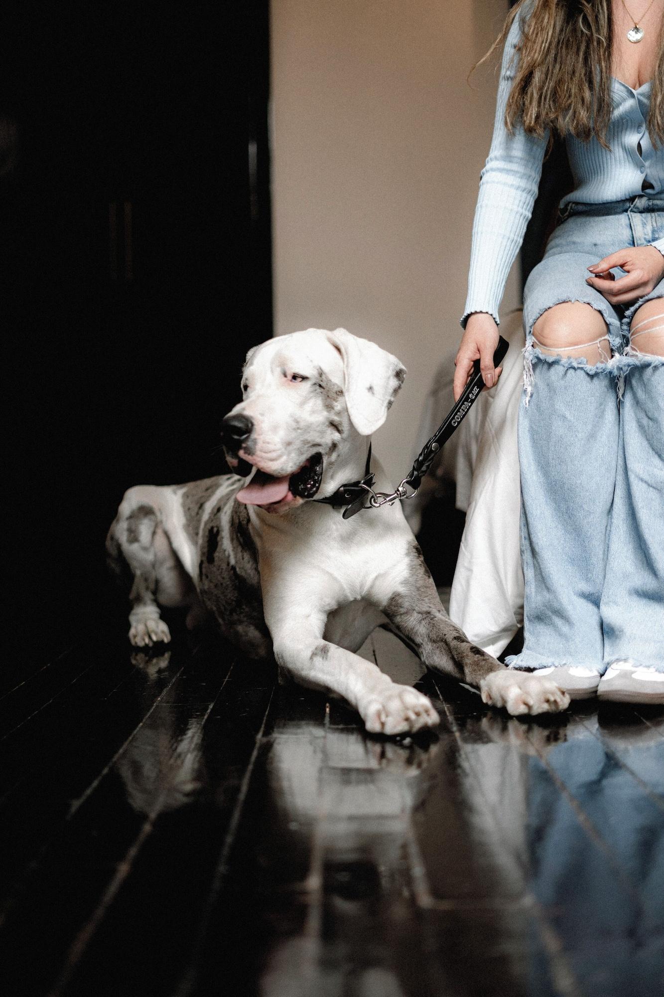 Instalaciones Recreativas Cantera Diez Hotel Boutique