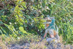 Alojamiento - CASA DUMAI OceanVilla NAKIJIN