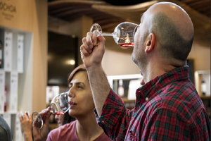 Actividad - Visita a 1 bodega en La Rioja con cata de vinos y almuerzo típico- Tour de un día entero