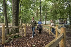 Alojamiento - Center Parcs Les Bois-Francs