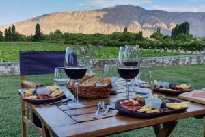 Actividad - City tour en San Juan, con visita a Bodega, Ruta Interlagos y guía en Inglés