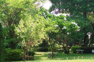 Alojamiento - Swankaburi Boutique Hotel