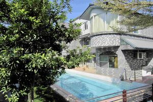 Alojamiento - Treehouse