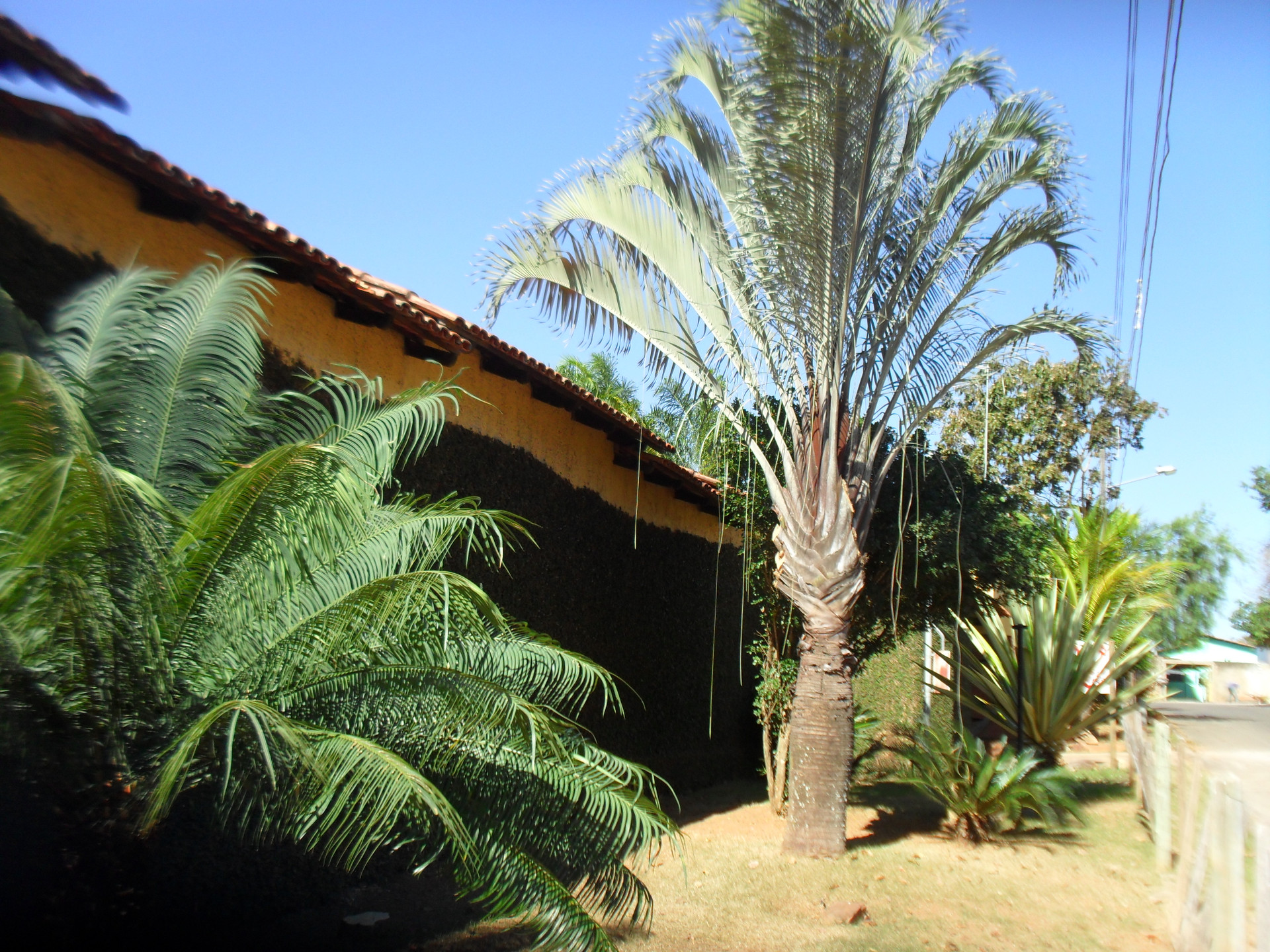 Vista Exterior Pousada Ônix