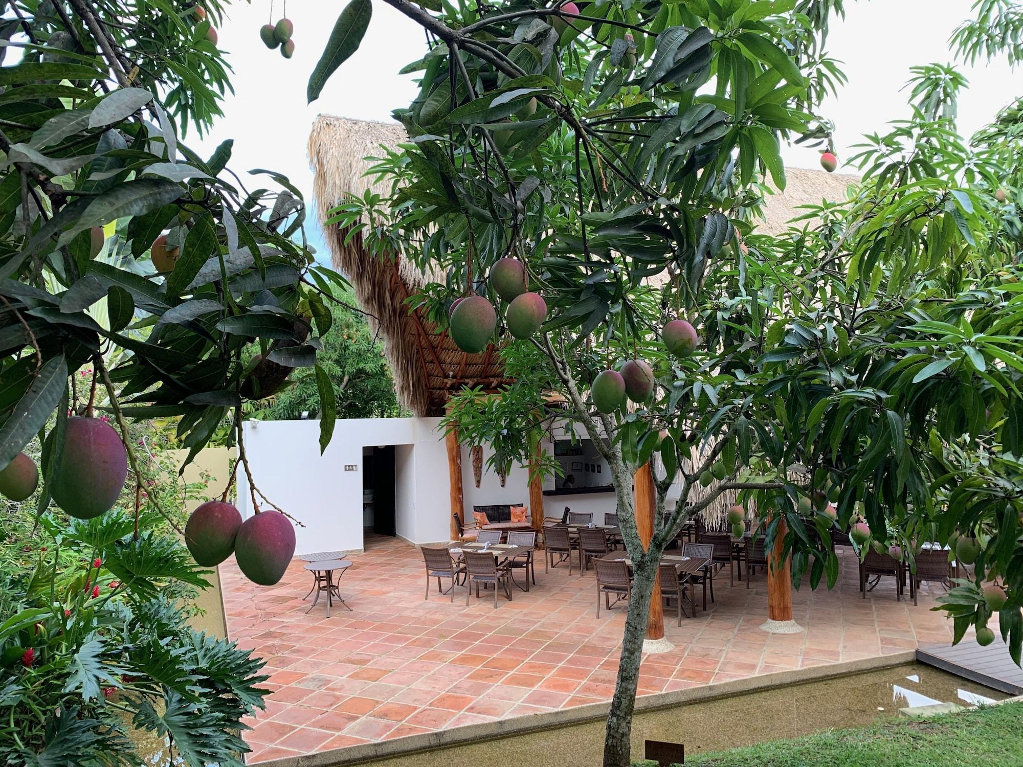 Restaurant LA MASIA HOTEL BOUTIQUE