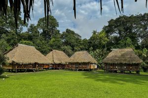 Alojamiento - Nicky Amazon Lodge