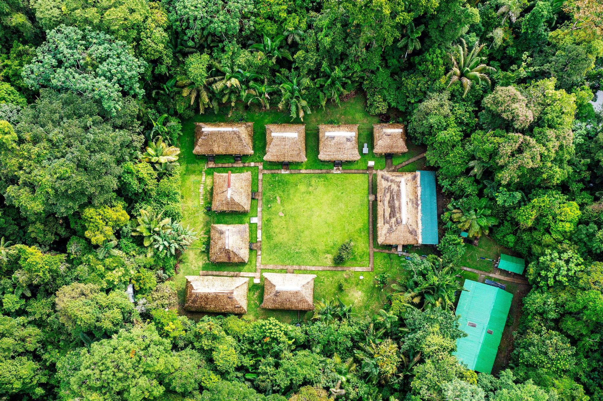 Varios Nicky Amazon Lodge