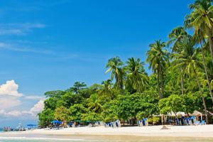 Actividad - Excursión a Isla Tortuga + Snorkel