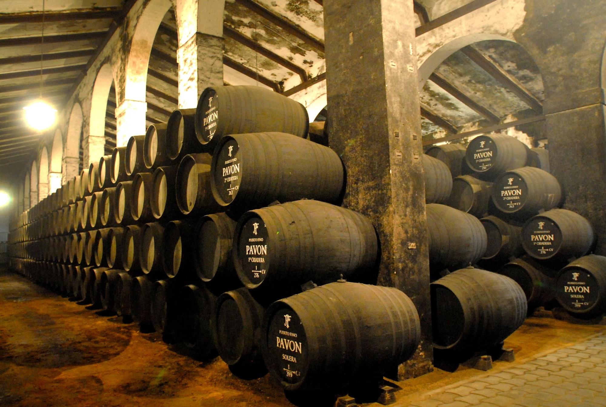 Gimnasio Hotel Alegria Bodega Real