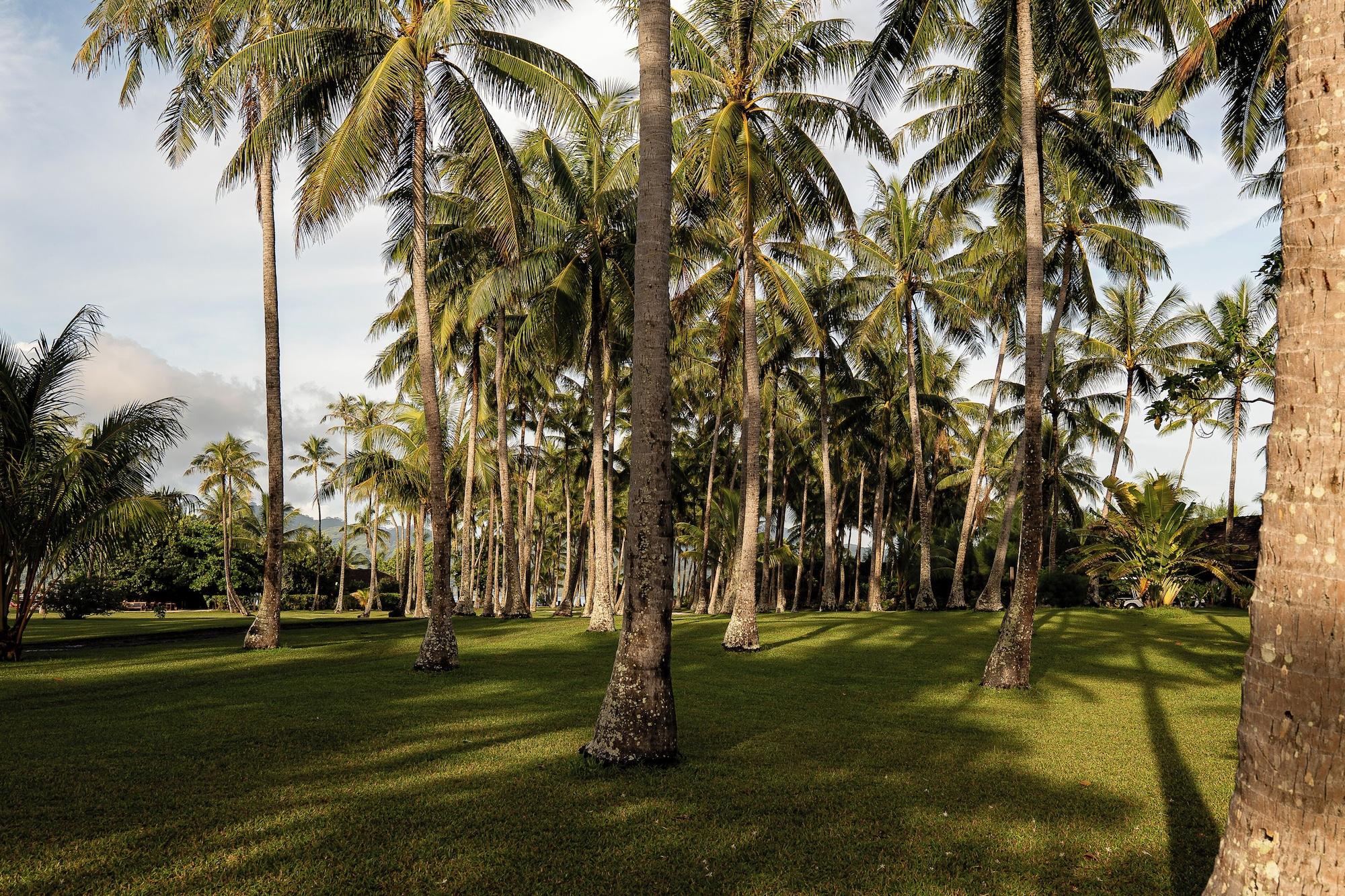 Vista Exterior Vahine Private Island