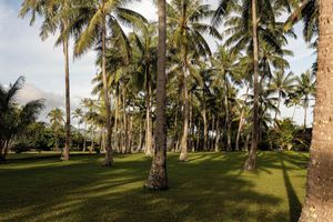 Alojamiento - Vahine Private Island