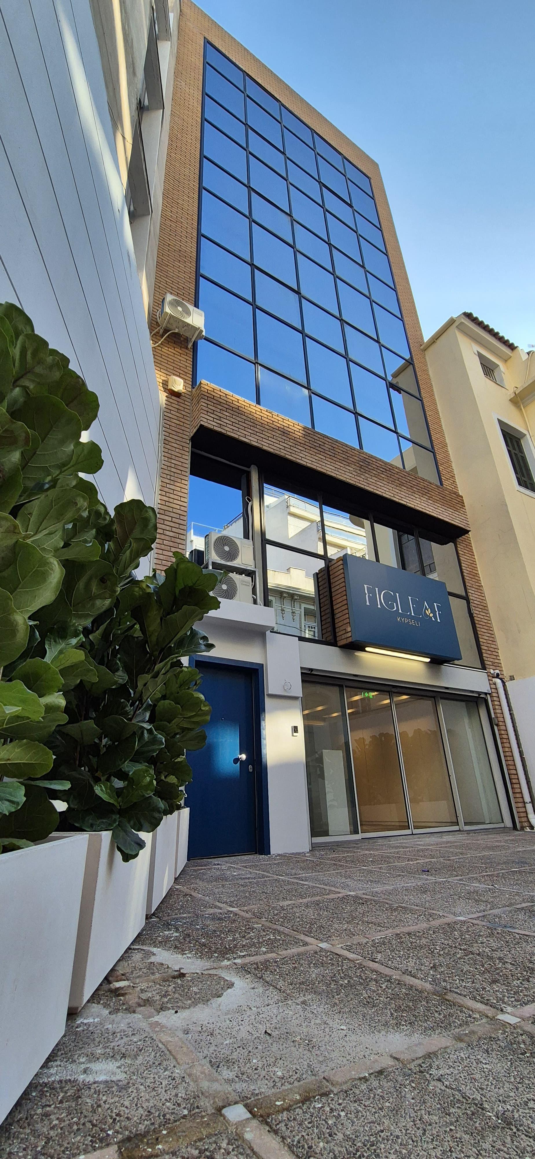 Vista Exterior Figleaf Kypseli