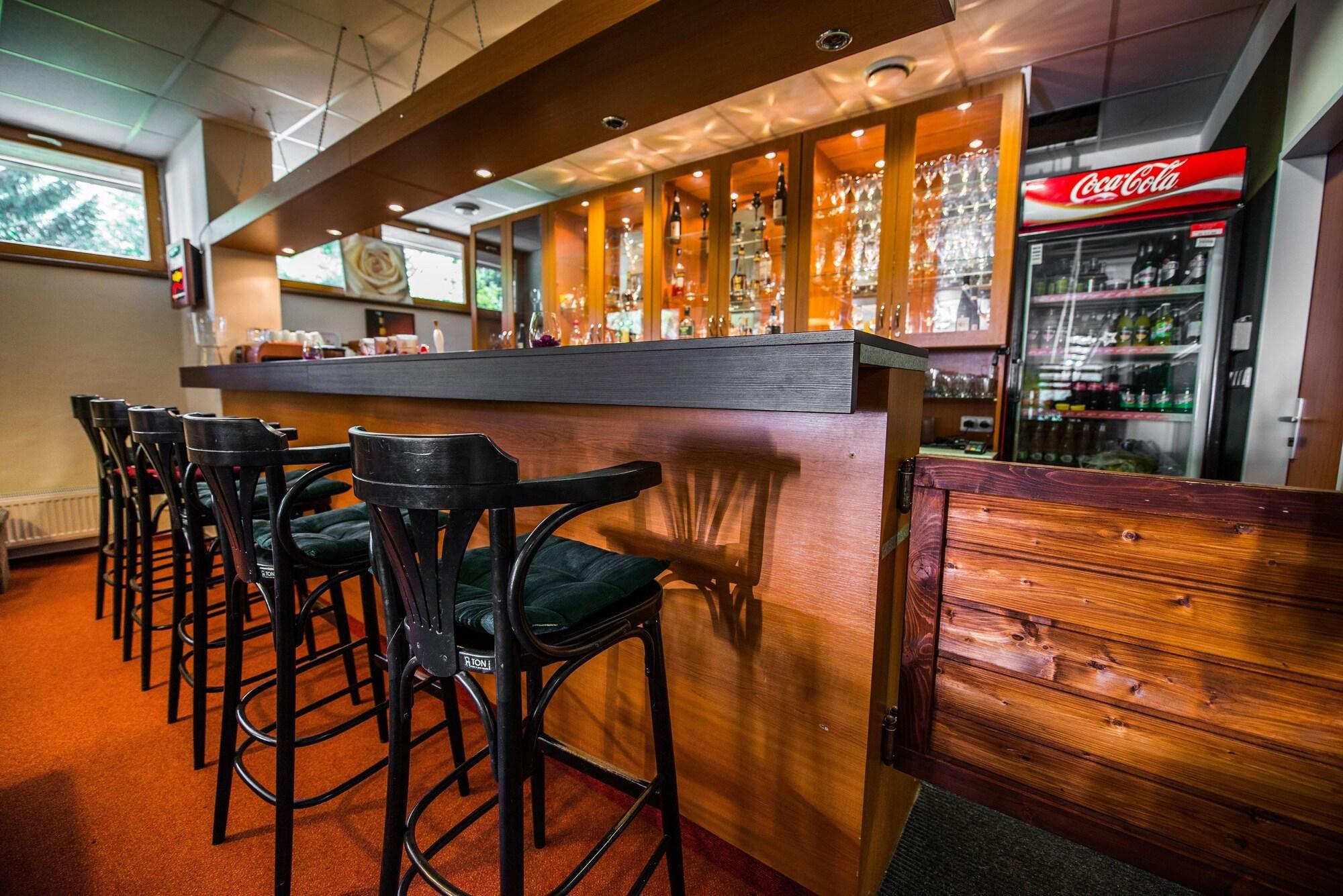 Bar/Salón Parkhotel Harrachov