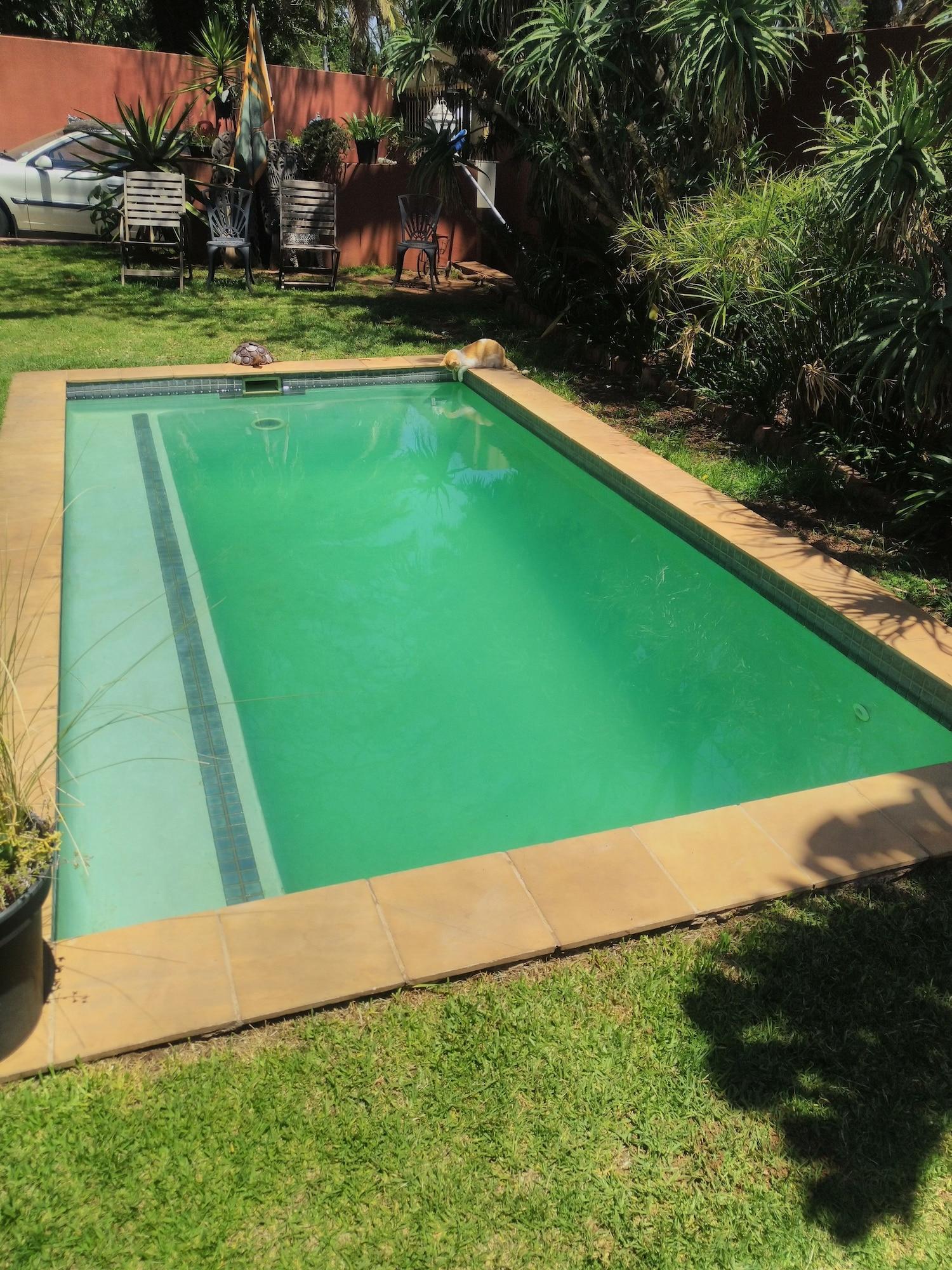Vista Piscina Sleepy Gecko Guest House