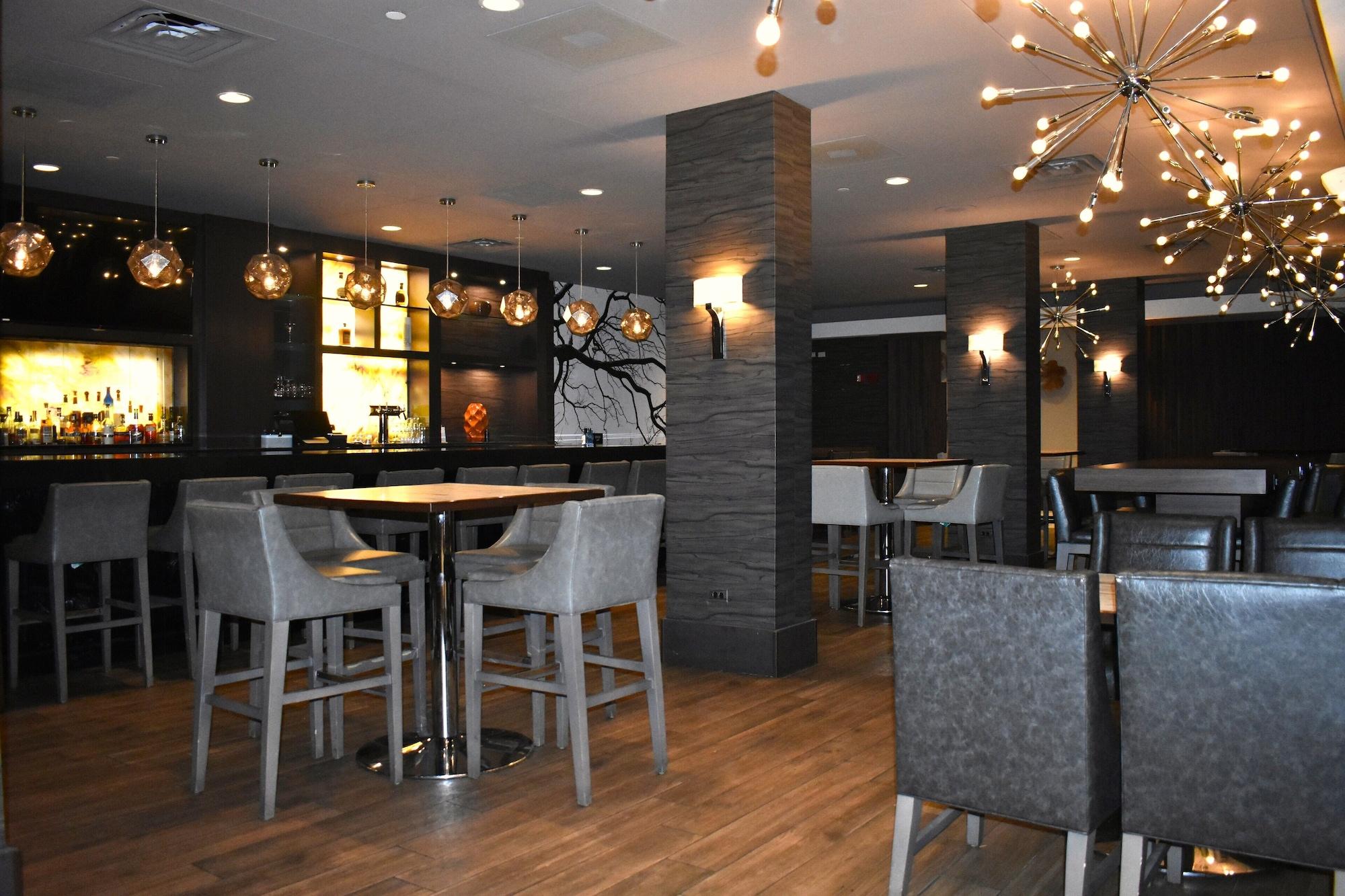 Bar/Salón DoubleTree by Hilton Chicago - Oak Brook