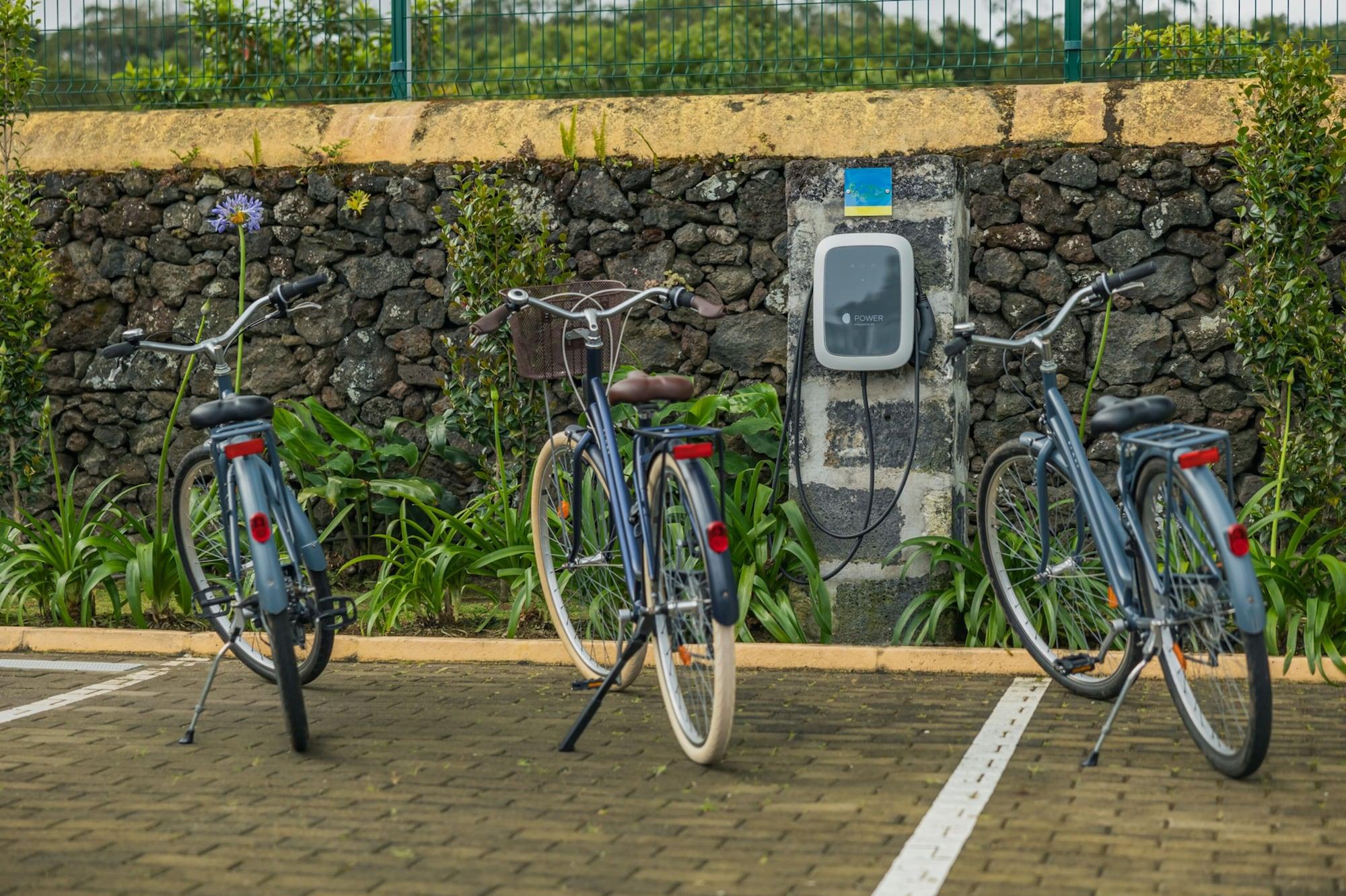 Varios Parrots Village