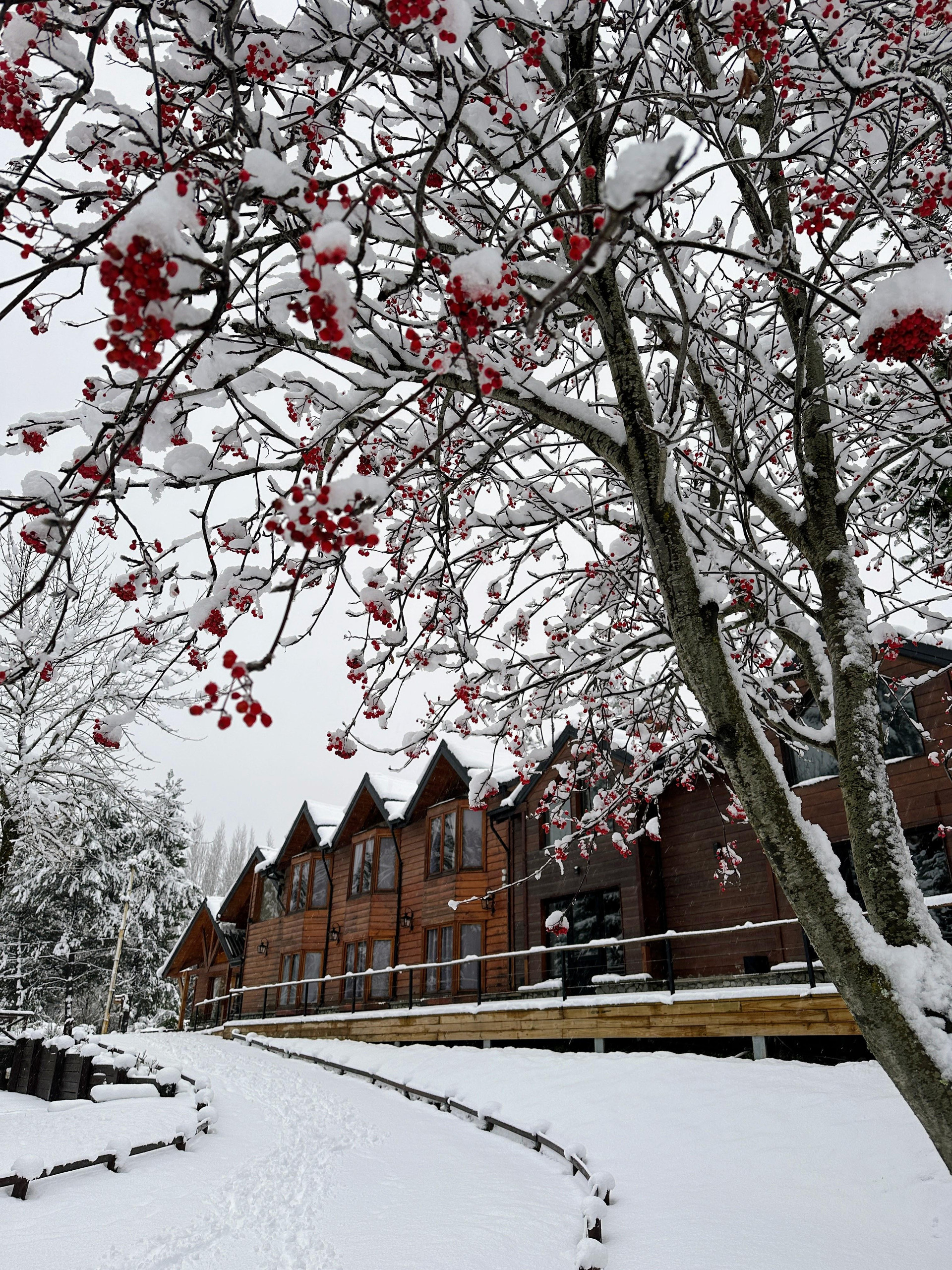 Vista Exterior POSADA DEL CIPRES