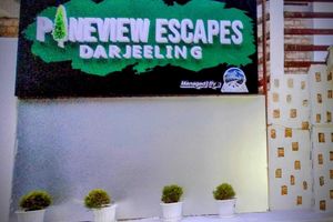 Alojamiento - PINEVIEW ESCAPES