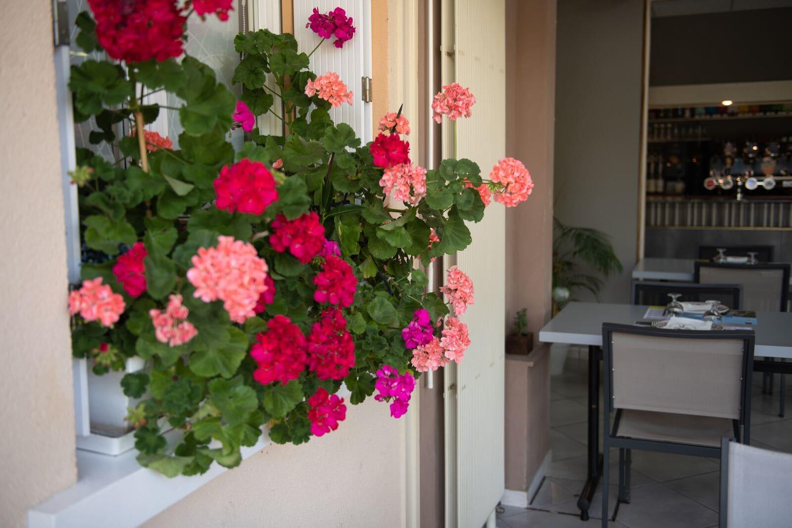 Vista Lobby L'Escapade