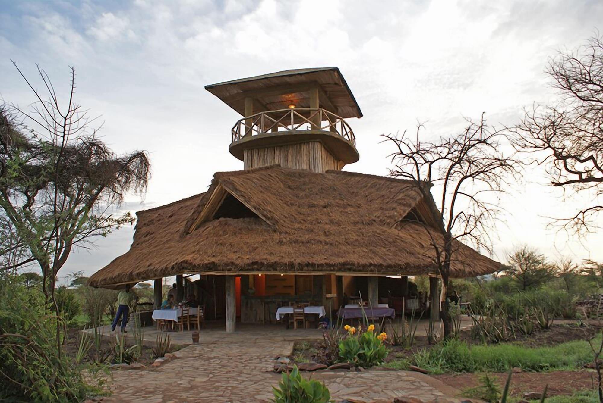 Robanda Safari Camp - Best Day