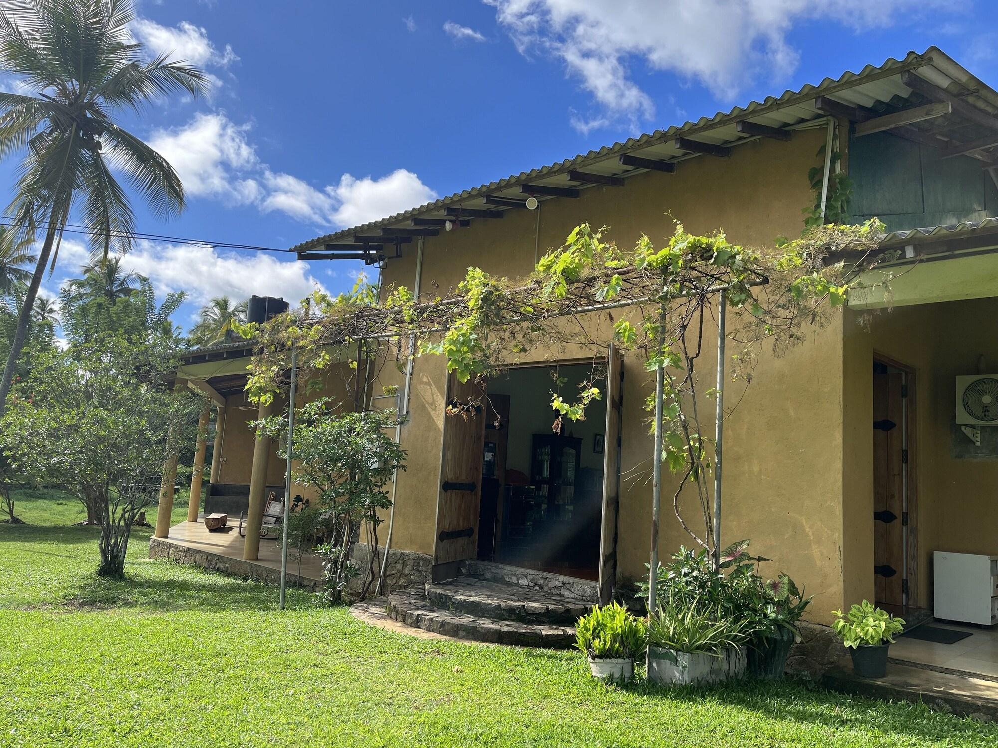 Vista Exterior Rivendell Twisted Tree