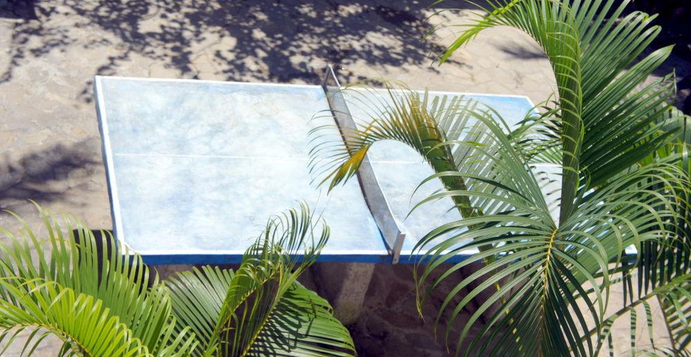 Instalaciones Recreativas The Hummingbird