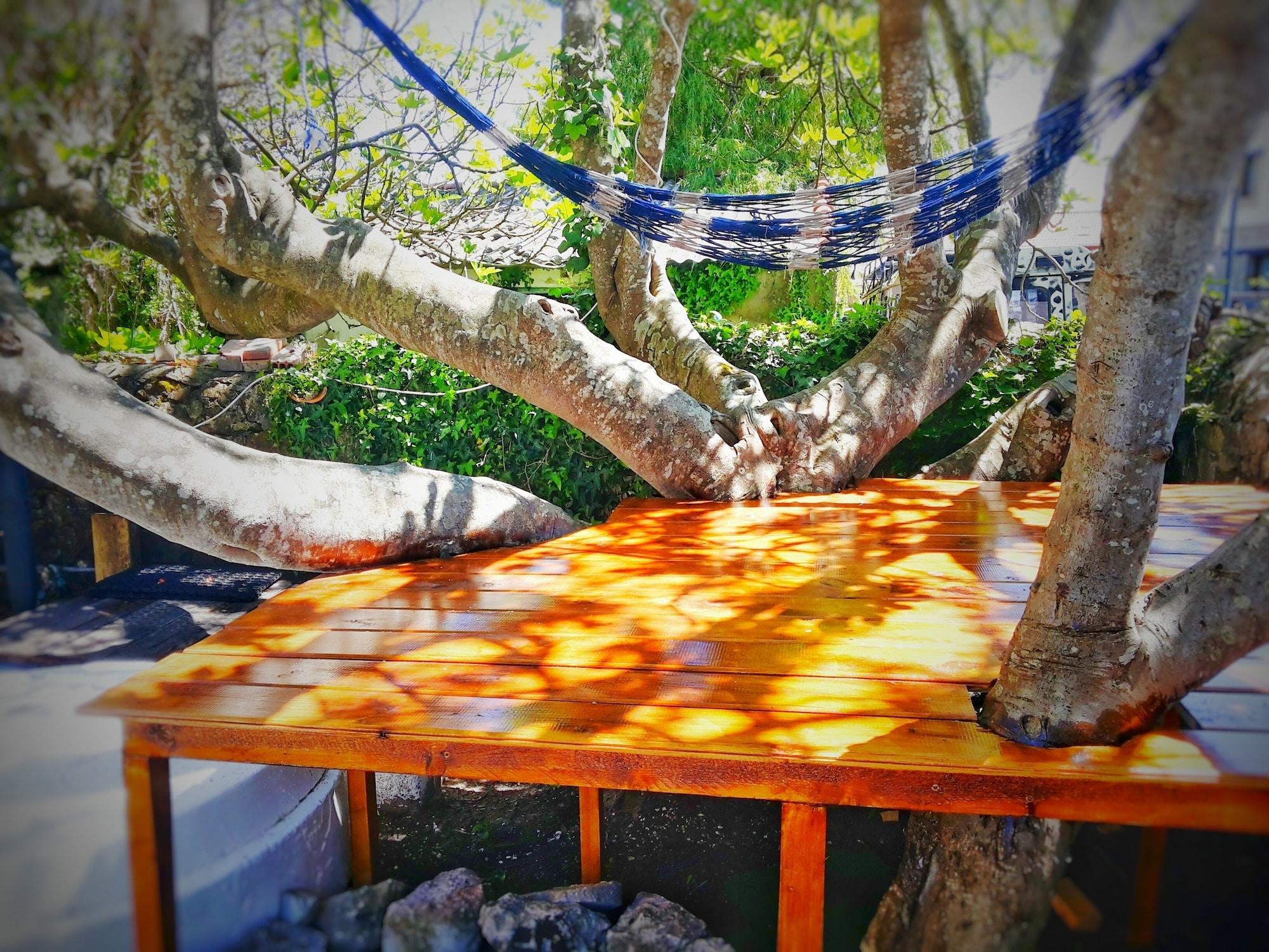 Vista Exterior SURFtoLIVE House - Hostel