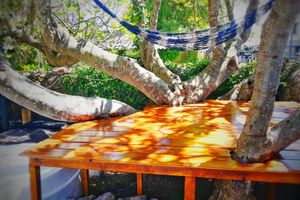 Alojamiento - SURFtoLIVE House - Hostel