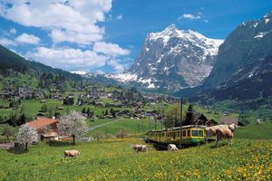 Actividad - Tour de un día entero a Grindelwald e Interlaken