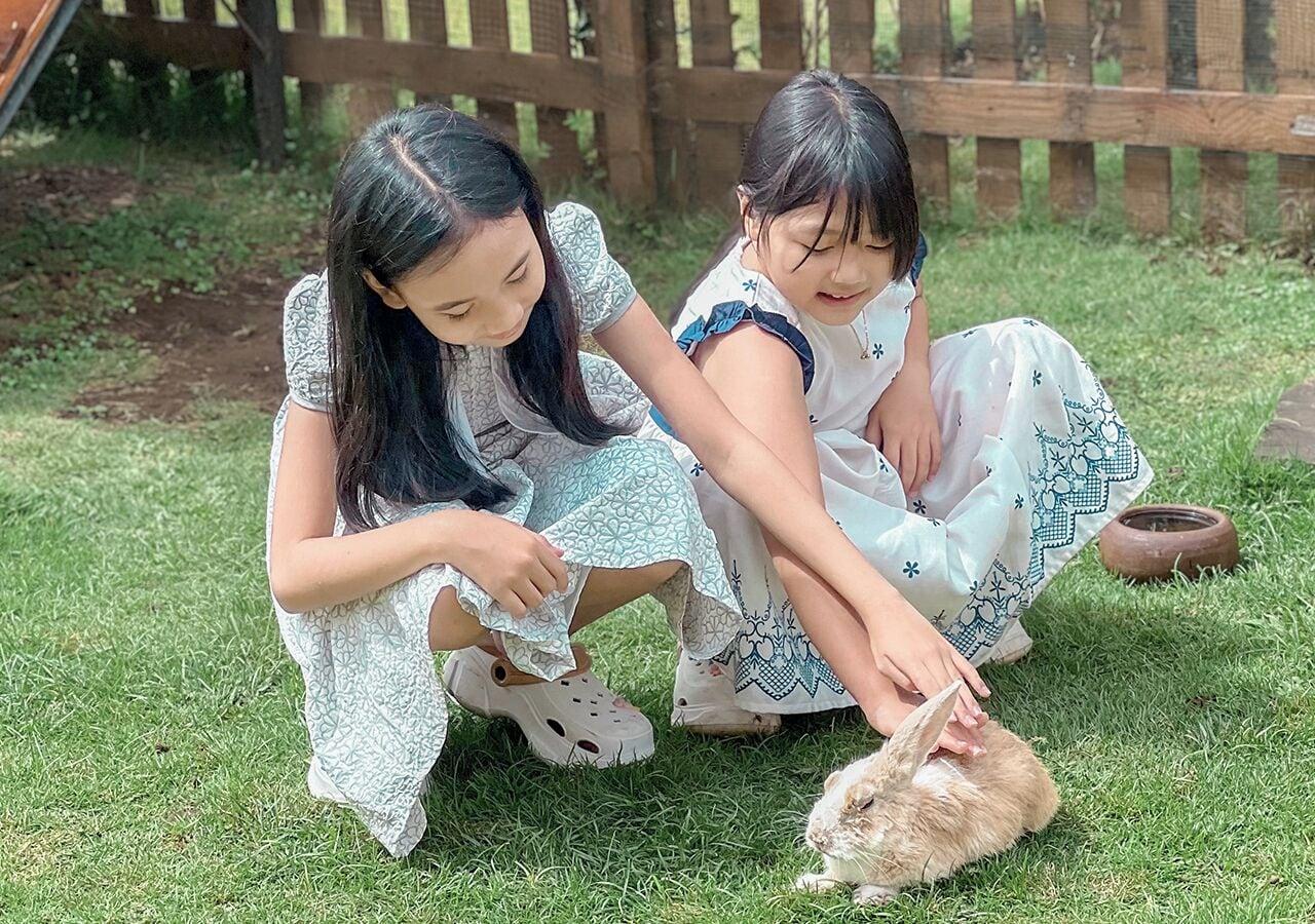 Instalaciones Recreativas Shanaya Resort Malang