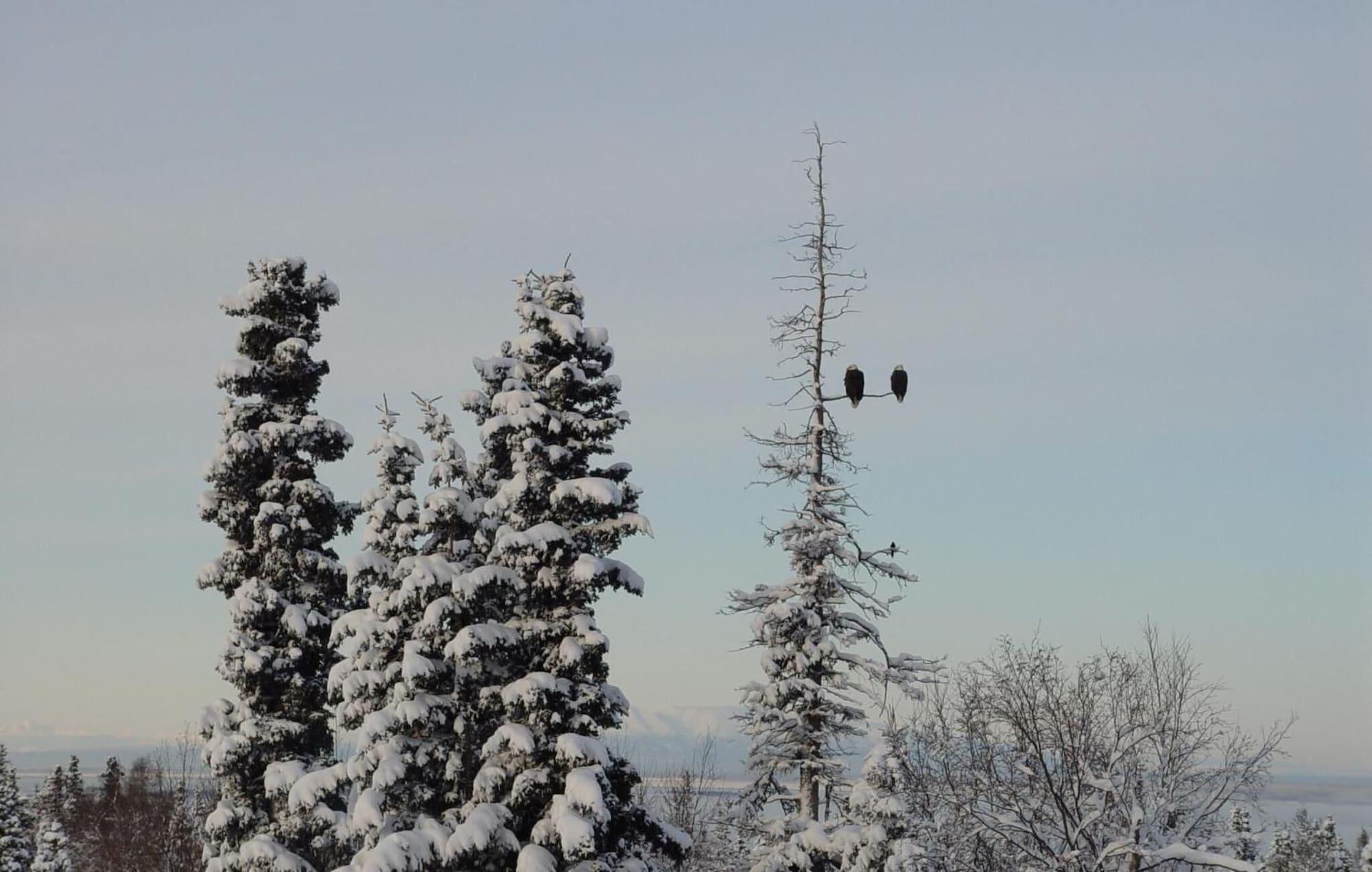 Varios Alaska Sundance Retreat B&B