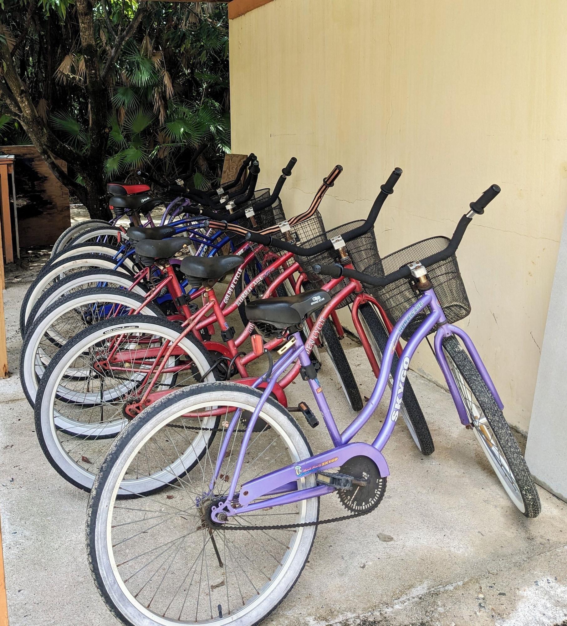 Varios Marazul Belize