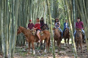 Alojamiento - Rancho El Paraiso De Ayotoxco