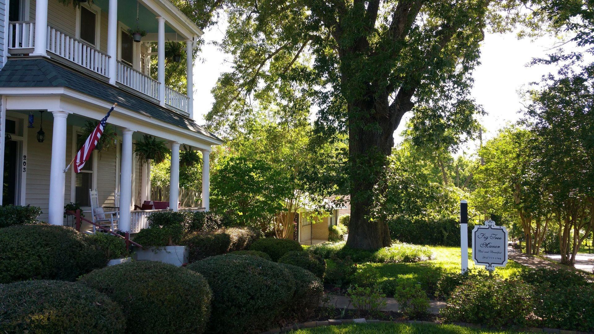 Vista Exterior Fig Tree Manor