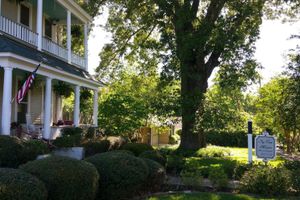 Alojamiento - Fig Tree Manor